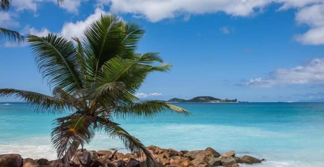 Happy Stay Villa Grand Anse  Exterior foto